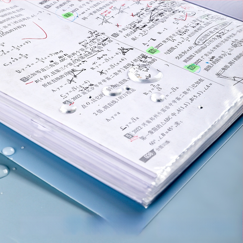 Didelės talpos dokumentų bylą su sagtimi ir skaidriomis įterpimo lapais (PP)