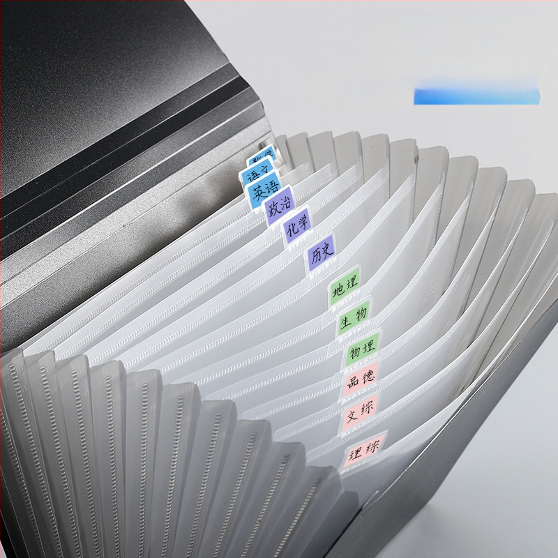 13-skyrčių akordeoninė dokumentų byla, plastikinė konstrukcija, didelė talpa, spausdintas logotipas, pritaikymas, licencijuotas privatų prekės ženklas