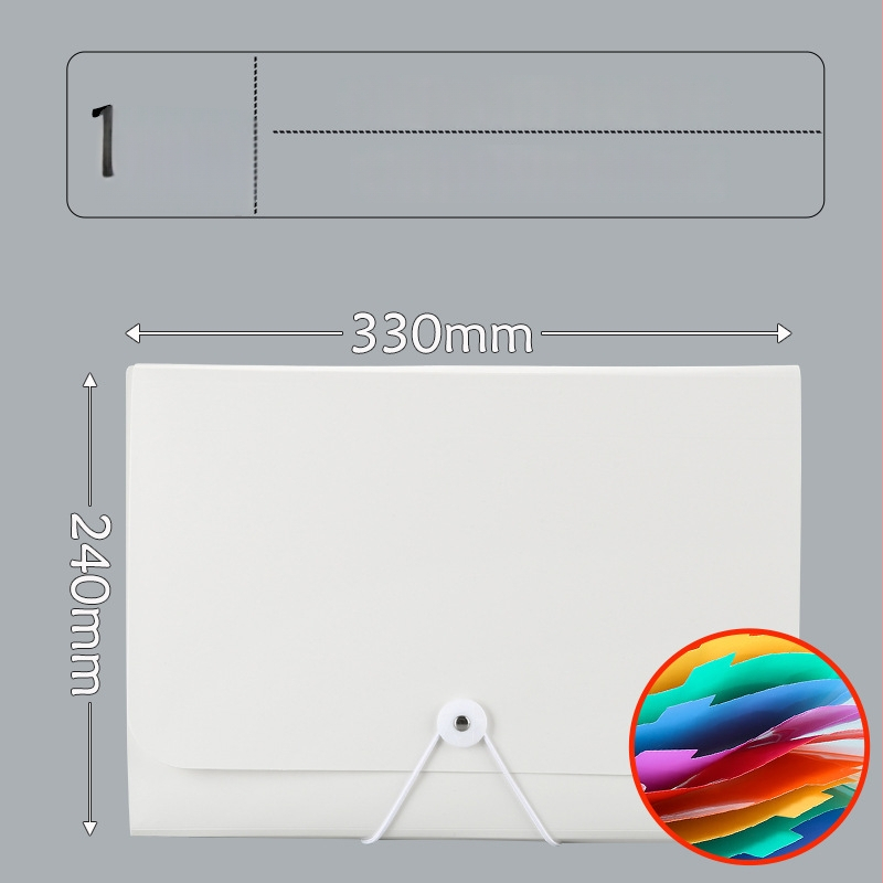 13-skyrčių akordeoninė dokumentų byla, plastikinė konstrukcija, didelė talpa, spausdintas logotipas, pritaikymas, licencijuotas privatų prekės ženklas