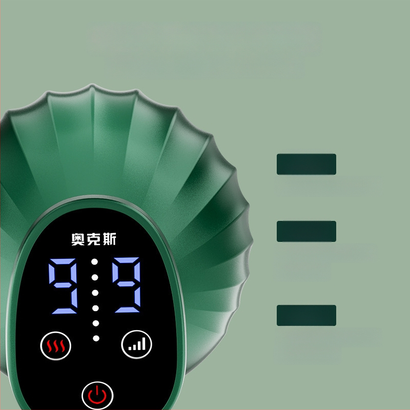 Oaks Br-g536 Ühildatav meridiaaniharja elektriline massaaž, 4 kiirust, temperatuuri reguleeritav kuni 9 taset, ABS-korpus, nuppude abil juhtimine