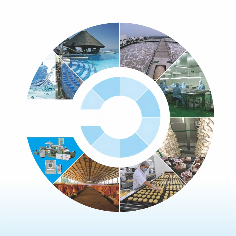 Qida All-in-One ozono Generatorius, aukštos koncentracijos ozono dezinfekcija, 99% sterilizacija, 99,5% dumbliai naikinimas