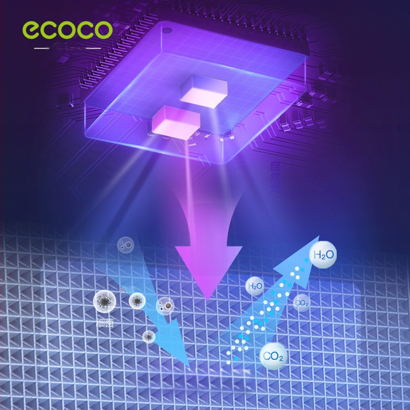 Ecoco UV sterilizatorius dantų šepetėliui, sienos montavimas be gręžimo, plastikinis laikiklis ir saugojimo stovas