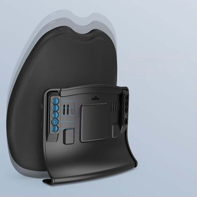 Ergonomiška juosmens atrama pagalvė biuro kėdei ir automobiliui, reguliuojama nugaros pagalvė su tinklo uždanga ir poliesterio užpildas