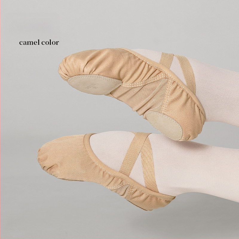 Šokių bateliai Lingyan – Elastinis tekstilės viršus, Karvių odos padas, Kvėpuojančios, Atsparios dilimui, Įtvaras palaikymas – Suaugusiems, Unisex, Šokių judesiai