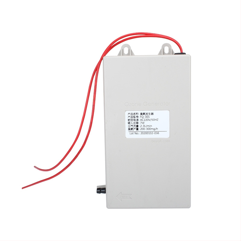 Beyok vandens pardavimo įrenginys su ozono generatoriaus moduliu 300–1000 mg/h vandens valymui