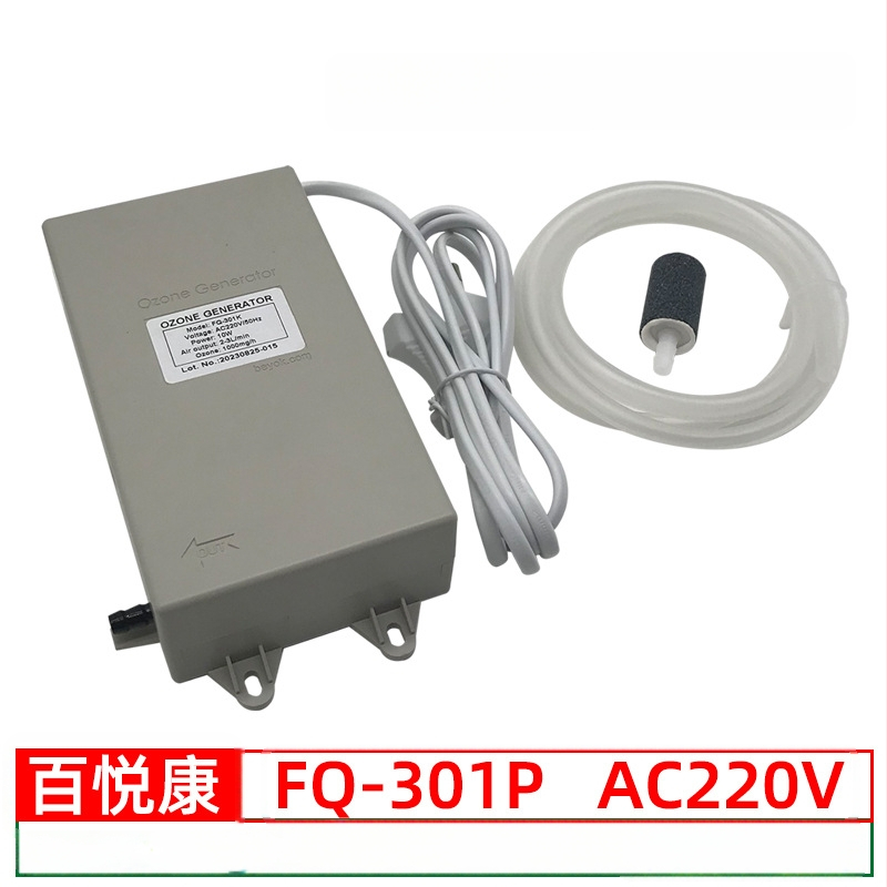 Beyok vandens pardavimo įrenginys su ozono generatoriaus moduliu 300–1000 mg/h vandens valymui