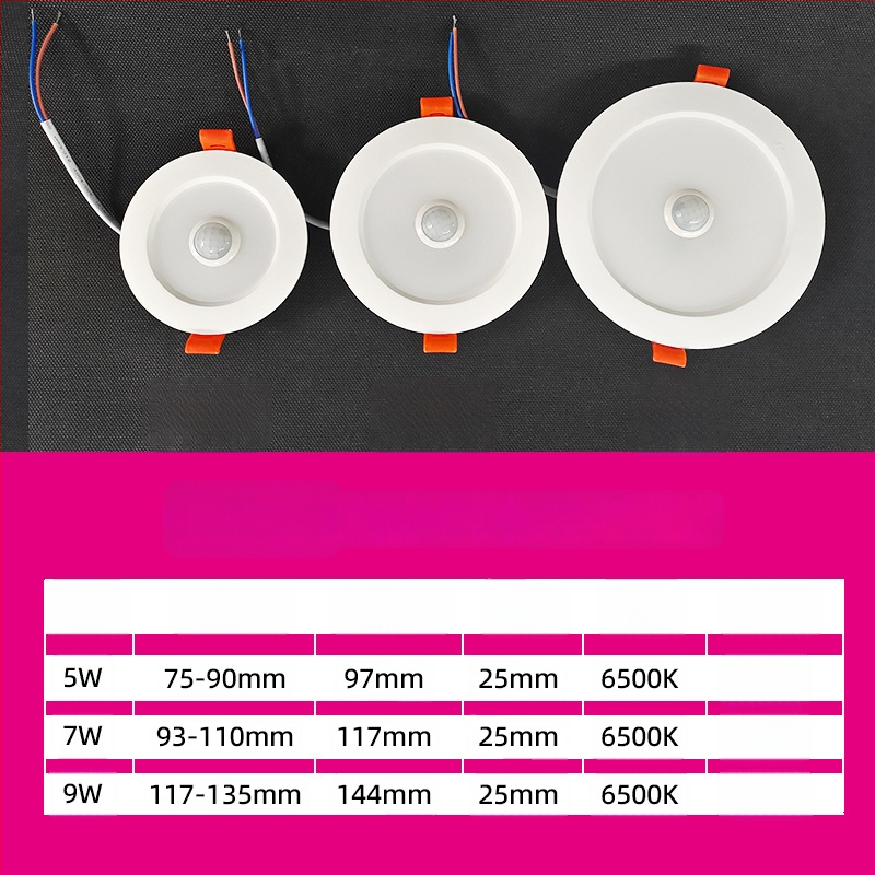 LED downlight kehaanduriga, infrapunaraadri ja hääle juhtimisega, peidetud paigaldus, 220V, LED helmed 2835 x10, 6500K