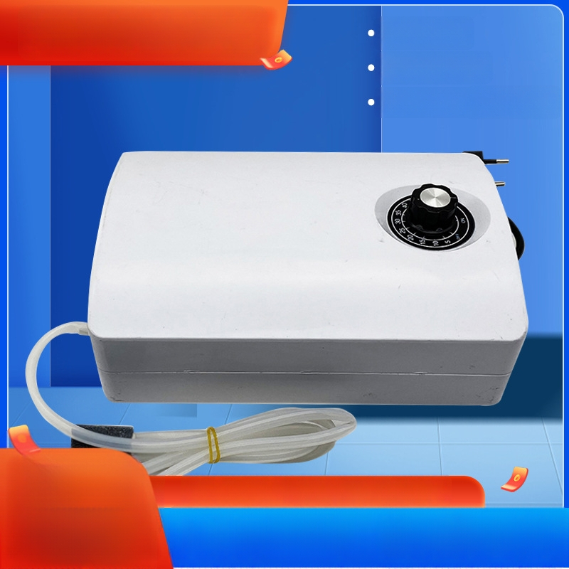 Ozoninio vandens generatorius 220V, ozono gamyba 2000 mg, namų daržovių plovimui, vandens valymui ir akvariumui