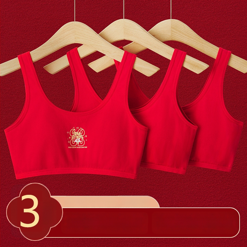 Mergaitėms vestos stiliaus apatiniai komplektas, medvilnė 95–100%, įdėklas viskozė 90–95%, pilnos kupros su putų įdėklu, kvėpuojantis ir patogus