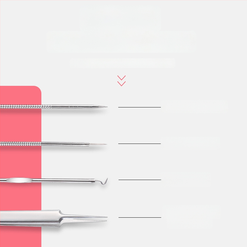 Izilin nerūdijančio plieno spuogų adatos rinkinys, 5 vnt., dėžutėje, dviejų galų