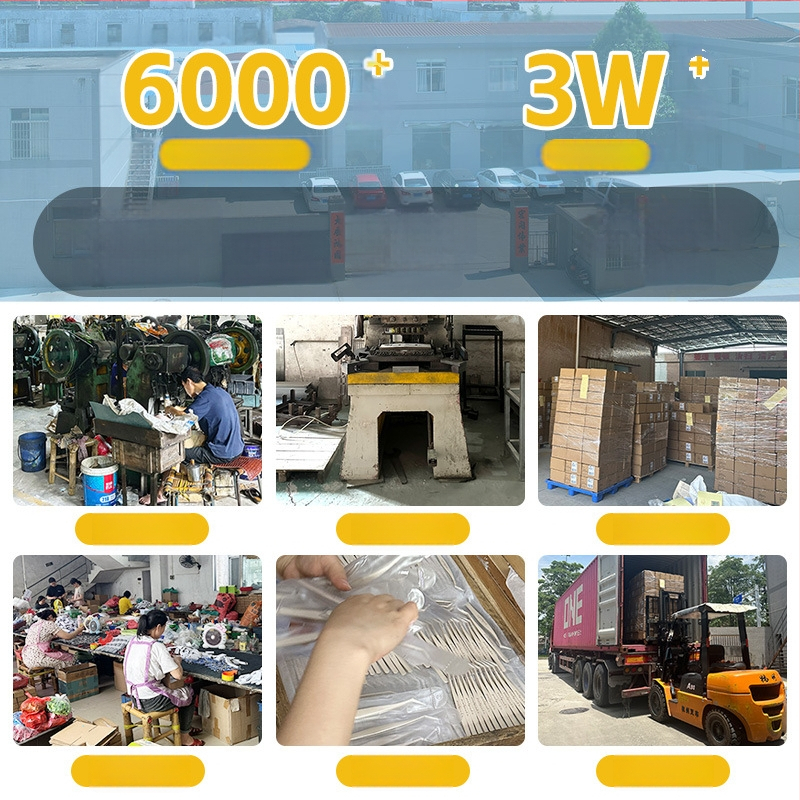 Yiliren Nerūdijančio plieno spuogų įrankis – medicininės kokybės, vienkartinis naudojimas, itin tikslus juodųjų dėmių ir spuogų šalinimui