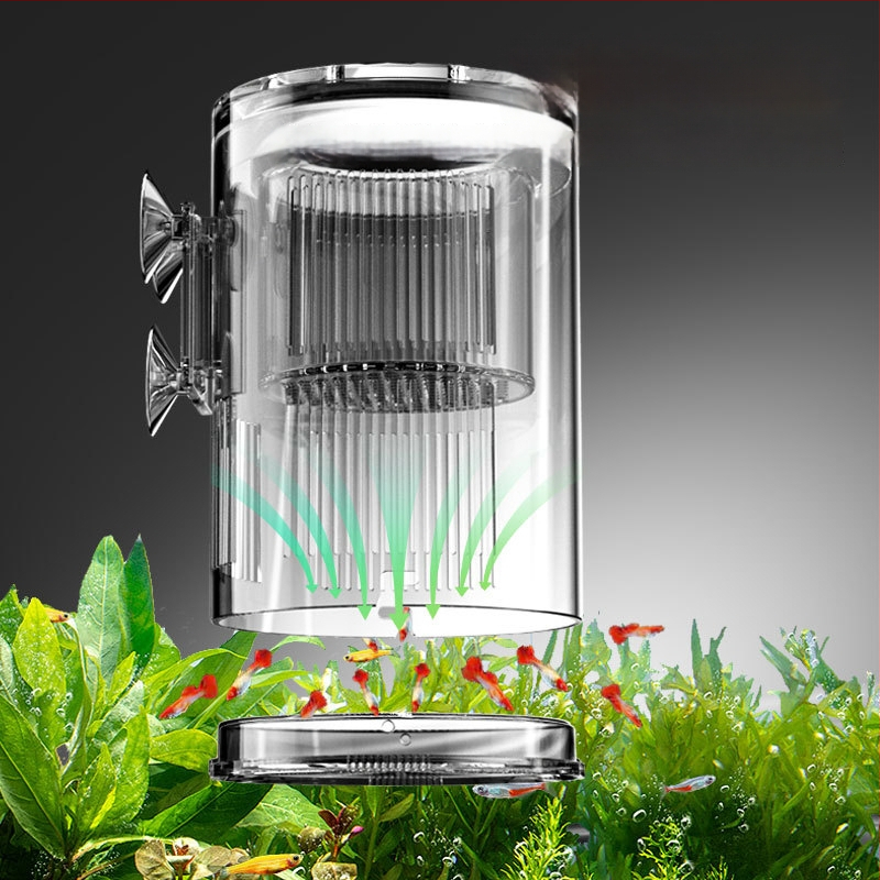 Plūduriuojanti akrilinė inkubavimo dėžutė reprodukcijos izoliacijai