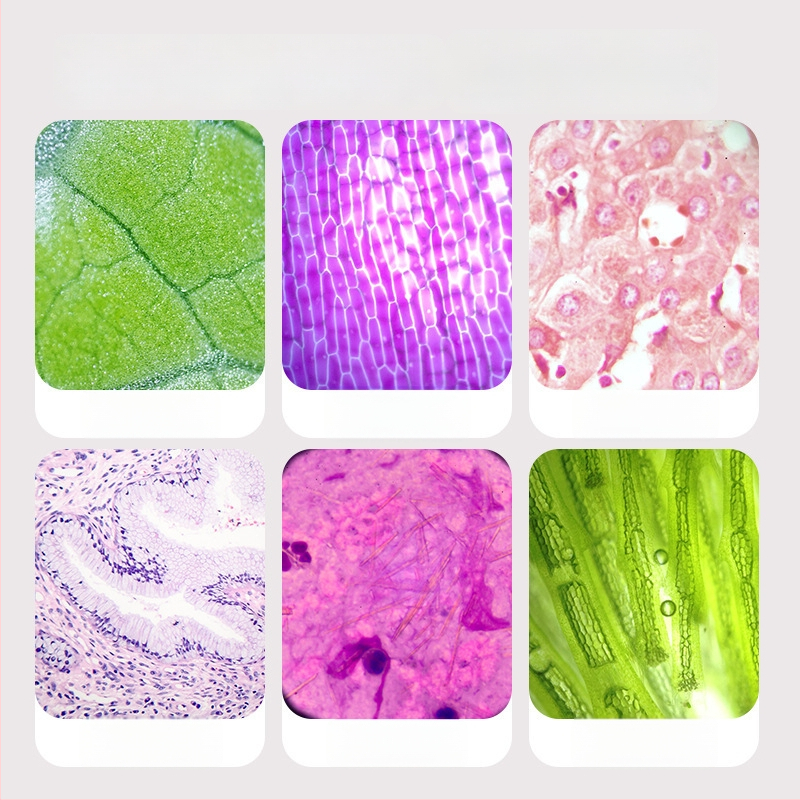 Laste mikroskoop 3-ühes, kompaktne hariv mänguasi, plastmassist, DIY-sõbralik, värvilises kastis pakendatud, mõeldud 4–6-aastastele, bioloogia/keemia (plastmass; DIY; värviline kast; 4–6 a.; bioloogia/keemia)