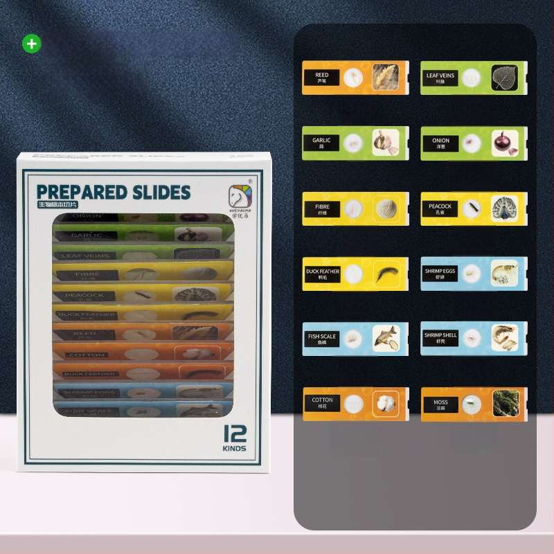 Laste mikroskoop ekraaniga – täielik teaduslik katsete komplekt, elektriline, ABS materjal, vanus 7–14 aastat, tootekood 3171