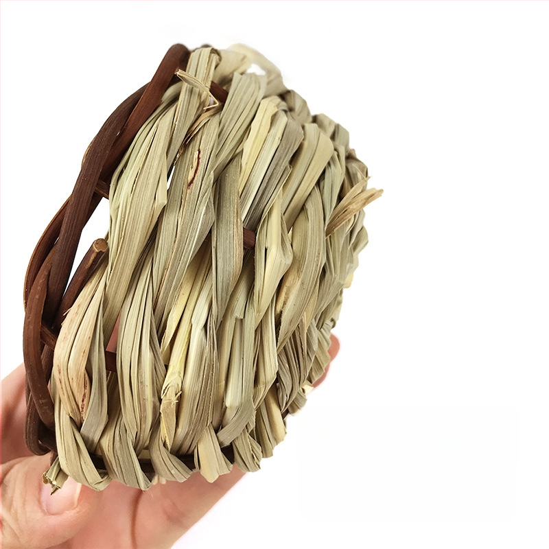 Carrot Valley salmu pīts putnu ligzda