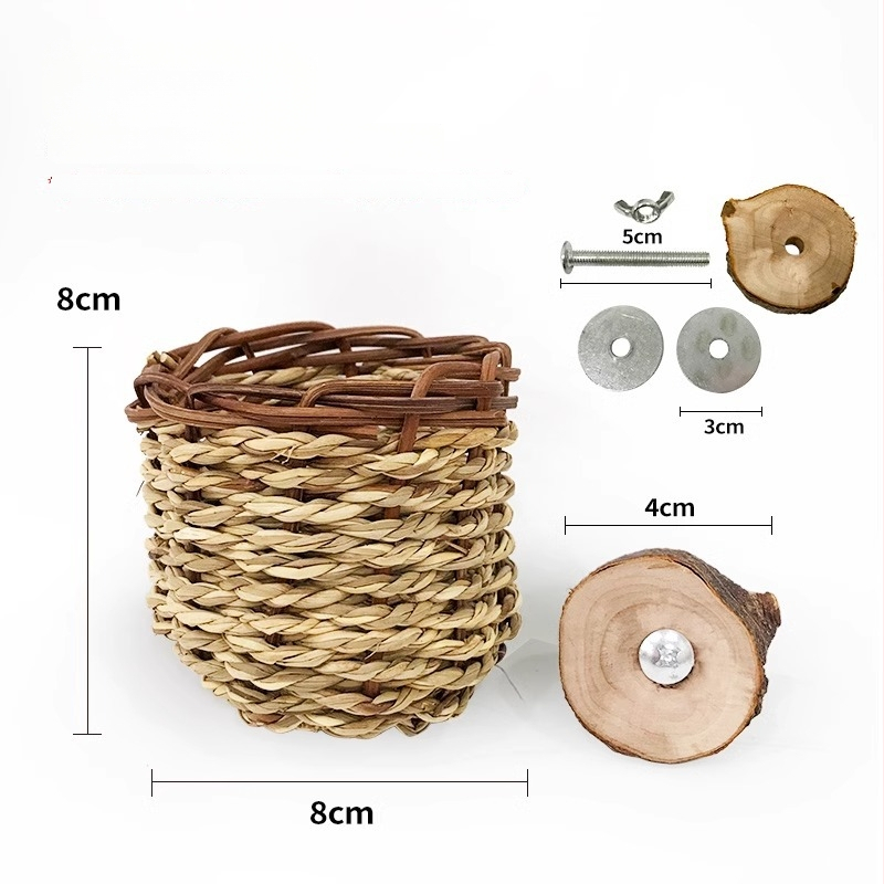 Carrot Valley salmu pīts putnu ligzda