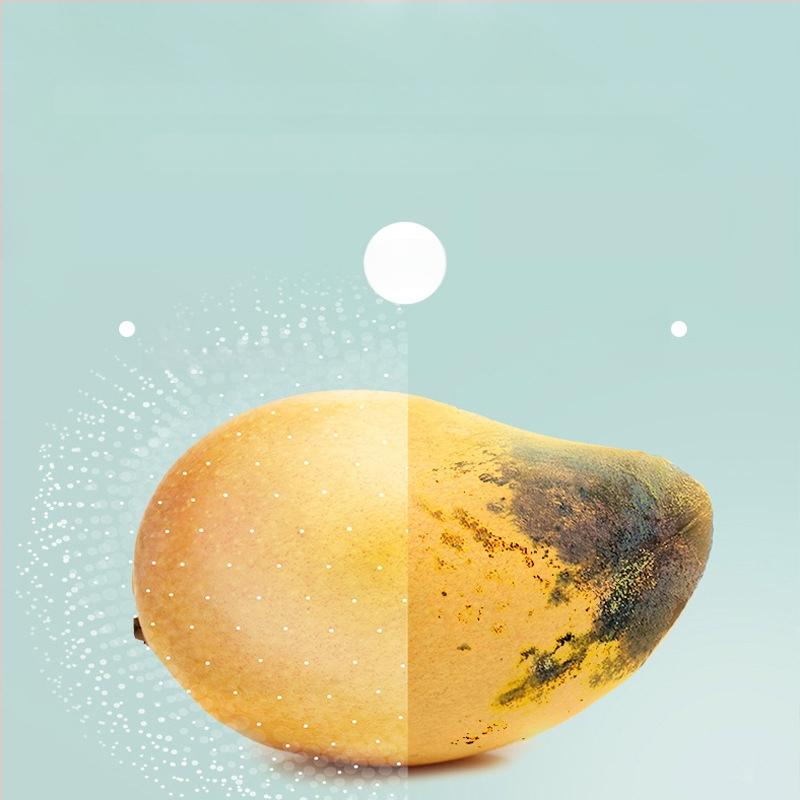 Ozono sterilizacijos oro valytuvas, 10 m² aprėptis, USB maitinimas, 5W, lietimui jautrus valdymas