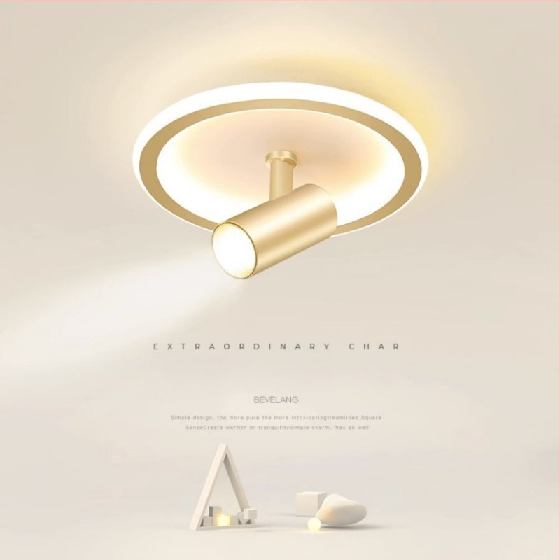 Lubų šviestuvas, šiuolaikiškai minimalistinis LED, paviršinis montavimas, pasukamas spotas, plieno korpusas, PVC gaubtas, 220V, 3C sertifikatas