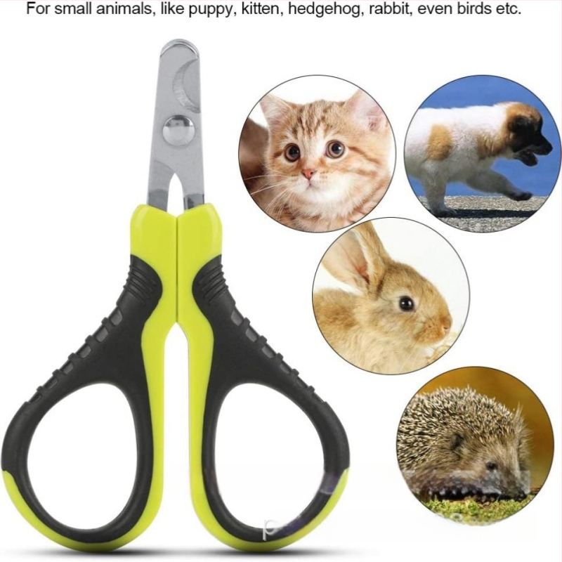 Naminių gyvūnėlių nagų kirpimo įrankiai katėms ir mažiems šunims – nagų kirpimas ir priežiūra, Be importo, Be licencijuotų privačių prekių ženklų