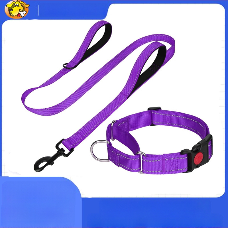 Šunų pavadėlis su rankena ir antkakle, nailonas, neopreno įdėklas, nesukeliantis užspringimo, dideliems šunims