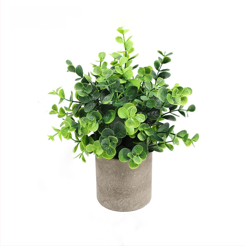 Dirbtinis eukalipto augalas staliniam dekorui su flokingo tekstūra, Daisy veislė, medžiaga: Kita, prekės ženklas: Kita