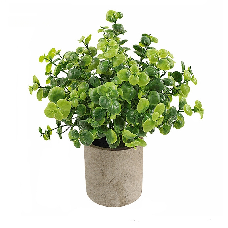 Dirbtinis eukalipto augalas staliniam dekorui su flokingo tekstūra, Daisy veislė, medžiaga: Kita, prekės ženklas: Kita