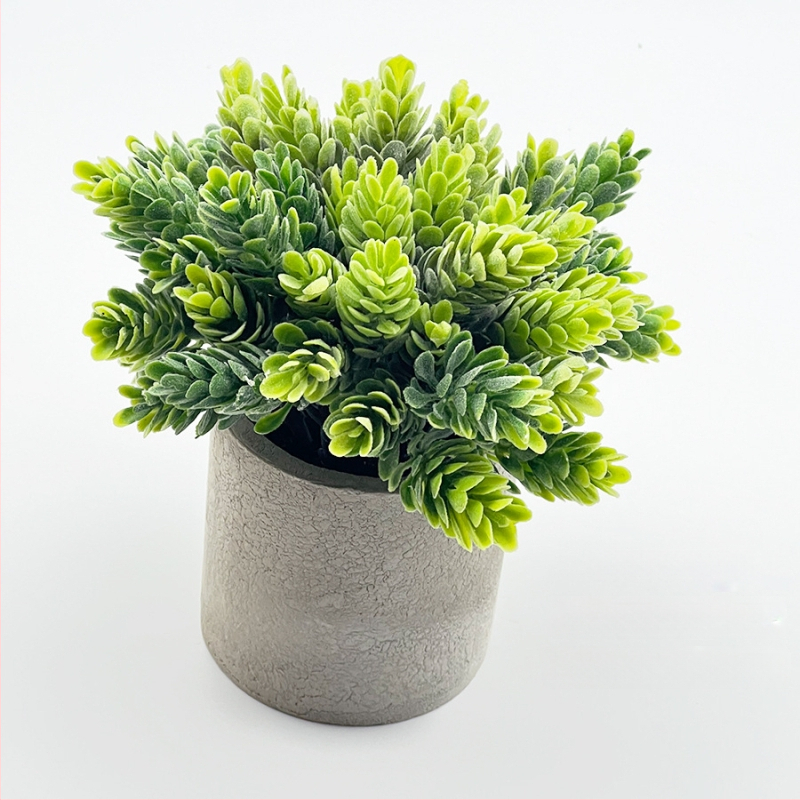 Dirbtinis eukalipto augalas staliniam dekorui su flokingo tekstūra, Daisy veislė, medžiaga: Kita, prekės ženklas: Kita