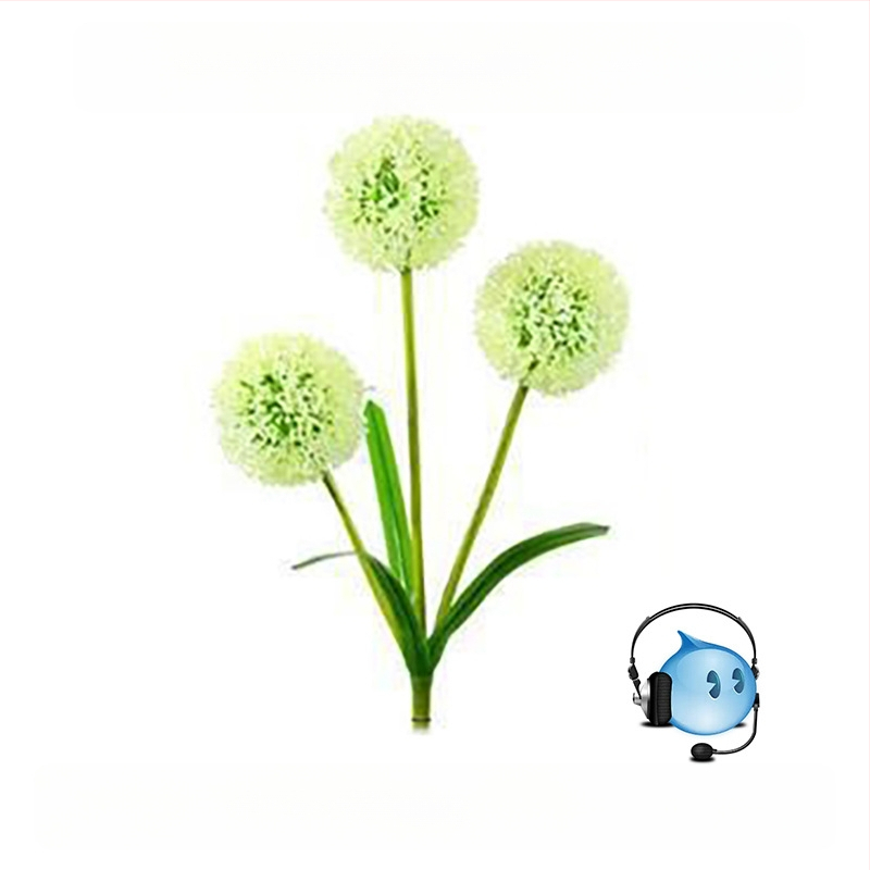 Saulės energijos LED sodo lemputė su žalio svogūno forma dizainu, IP65 atsparus vandeniui, nuotolinio valdymo, lauko kraštovaizdžio apšvietimas