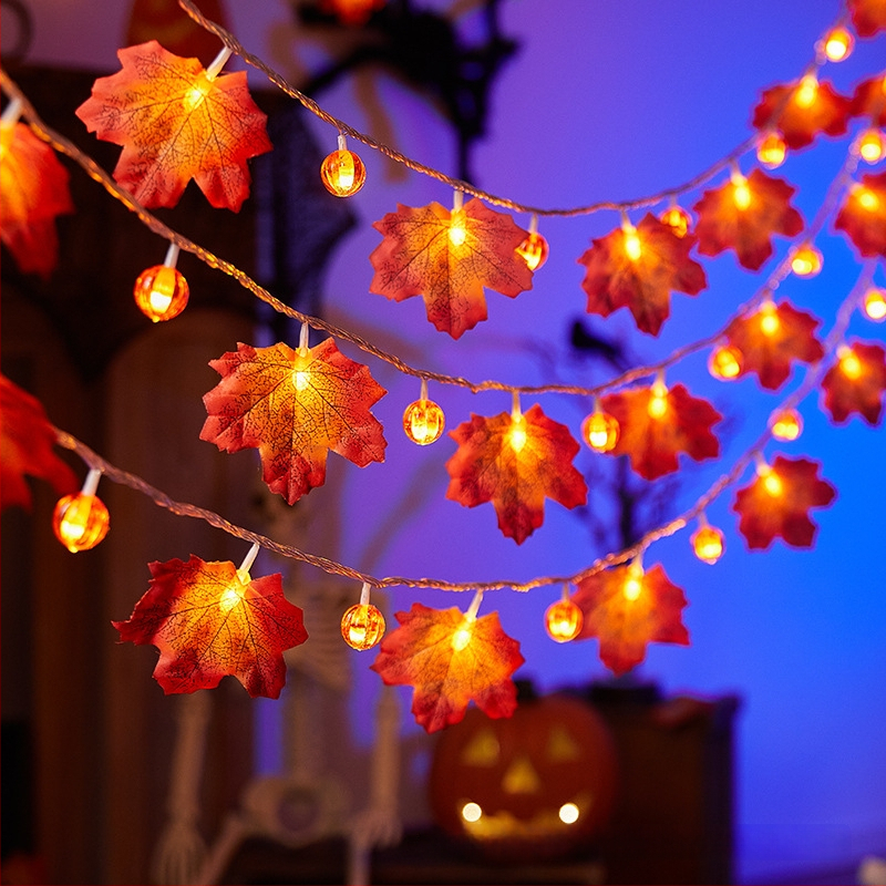 Maple Leaf Pumpkin LED grandinė šviesų, 40 LED, baterijomis maitinama, reguliuojamas ryškumas, IP43