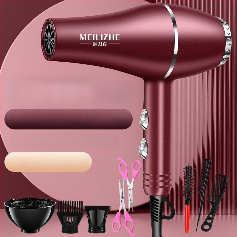 Aukštos galios plaukų džiovintuvas, šepetėlinis variklis, šaltas/karštas oras, 3 greičiai, vienas antgalis, pastovi temperatūros kontrolė