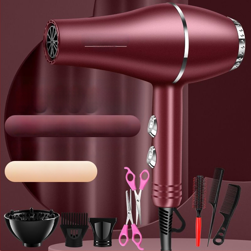 Aukštos galios plaukų džiovintuvas, šepetėlinis variklis, šaltas/karštas oras, 3 greičiai, vienas antgalis, pastovi temperatūros kontrolė
