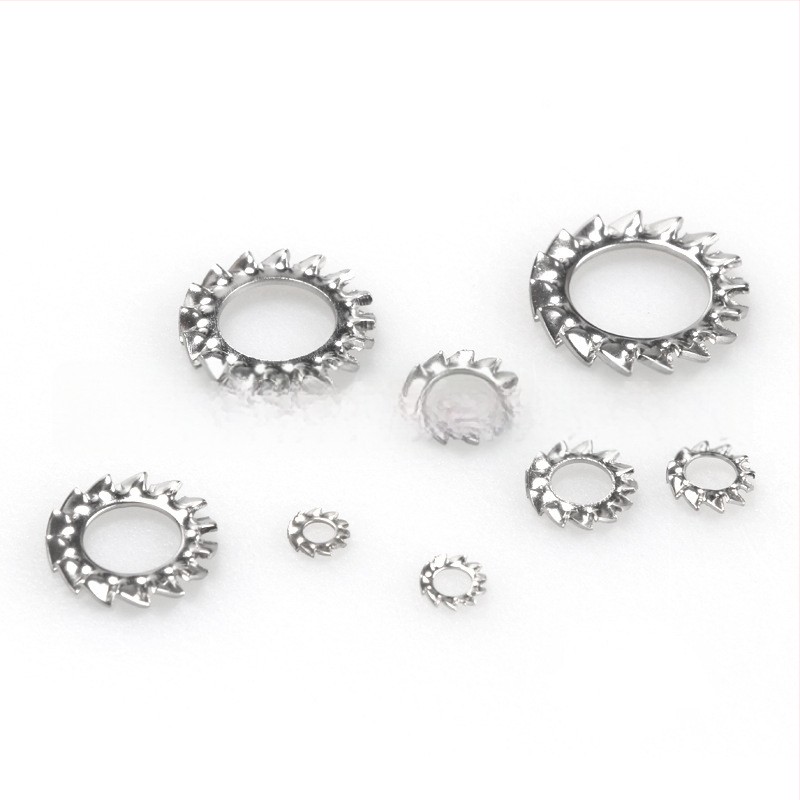 Išorinė dantyta plokštė užveržimo iš nerūdijančio plieno 304, 300 vnt., hrizantemos formos