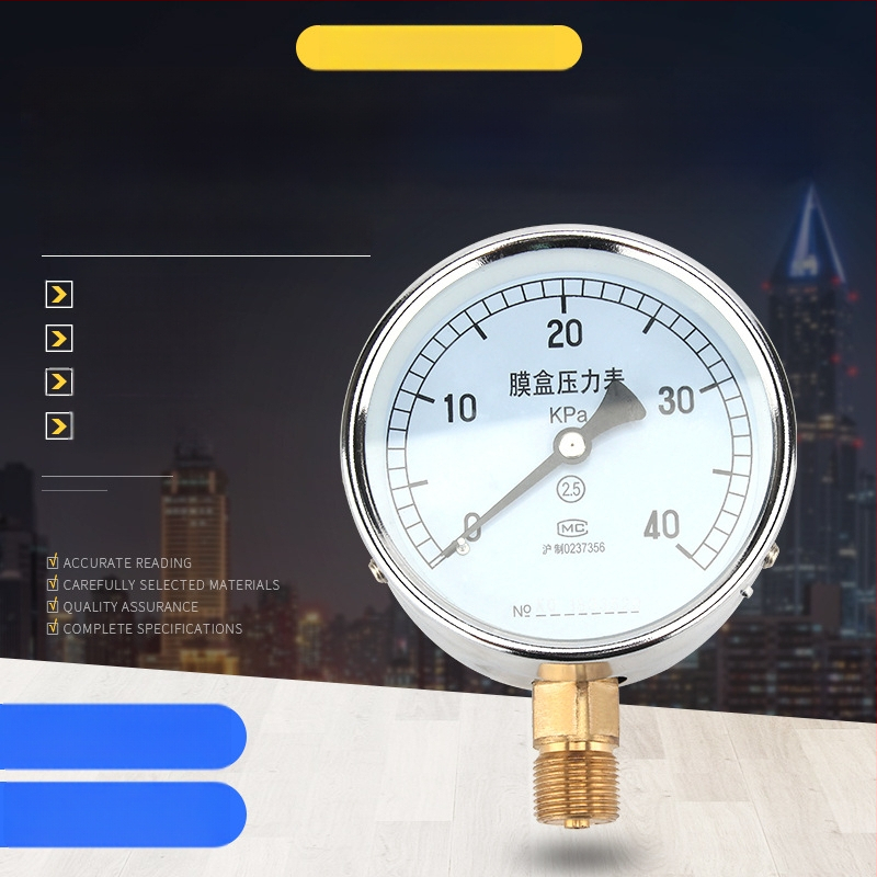 Bellows surve mõõtja YE-100, täpsusklass 2.5, kierreühendus