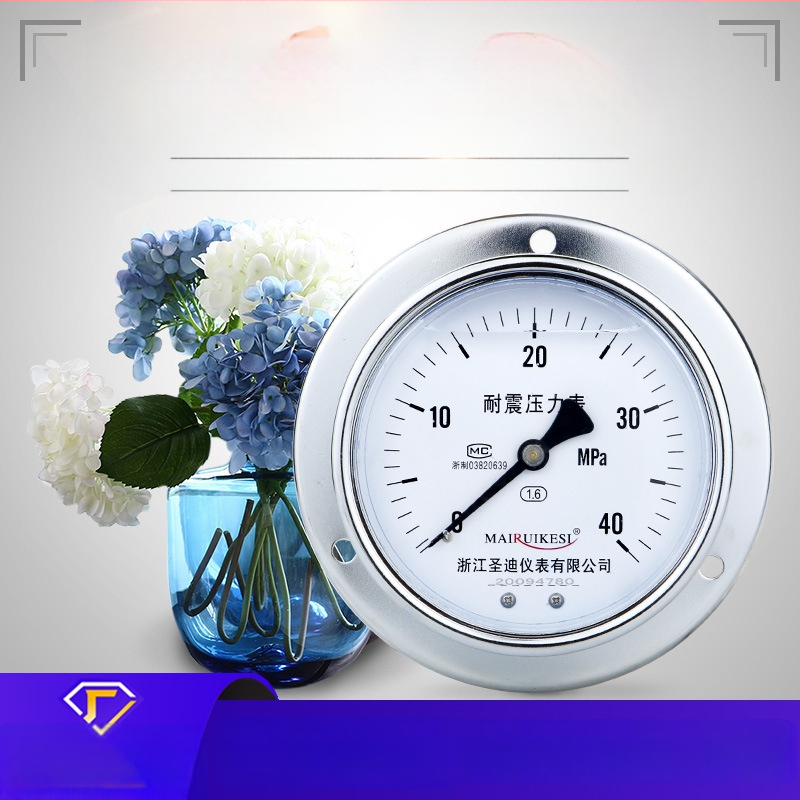 Löögikindel rõhumõõtja YN100ZT, M20×1.5 ühendus, mõõtmisvahemik -0.1 kuni 100, täpsus 1.6