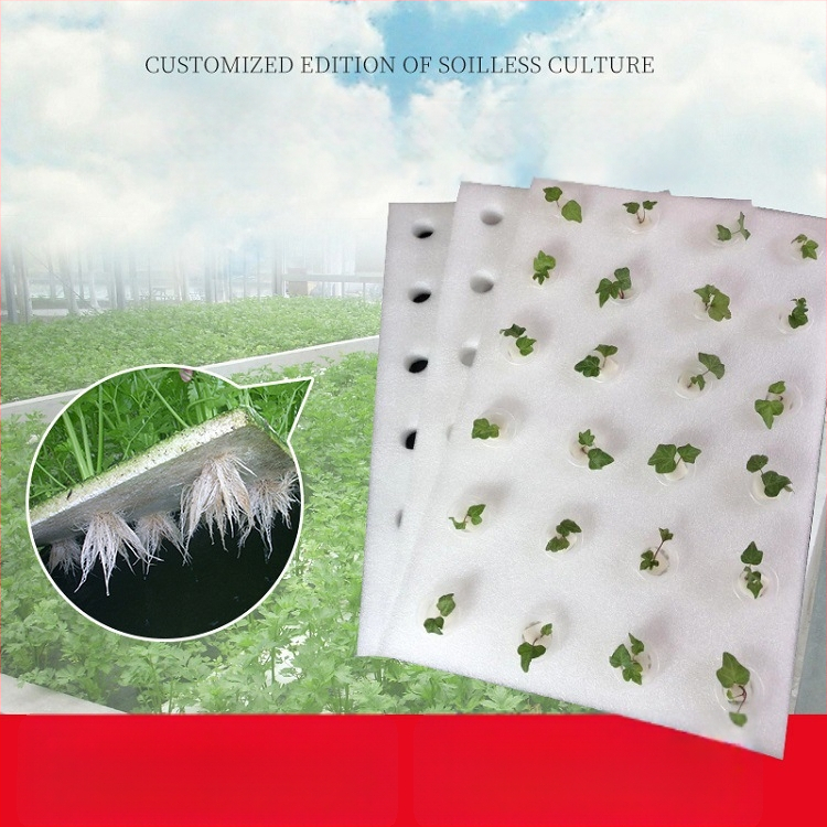 Plūduriuojanti hidroponinė sodinimo plokštelė vandens augalų auginimui | medžiaga: polietilenas | sodo dekoratyvinis daiktas