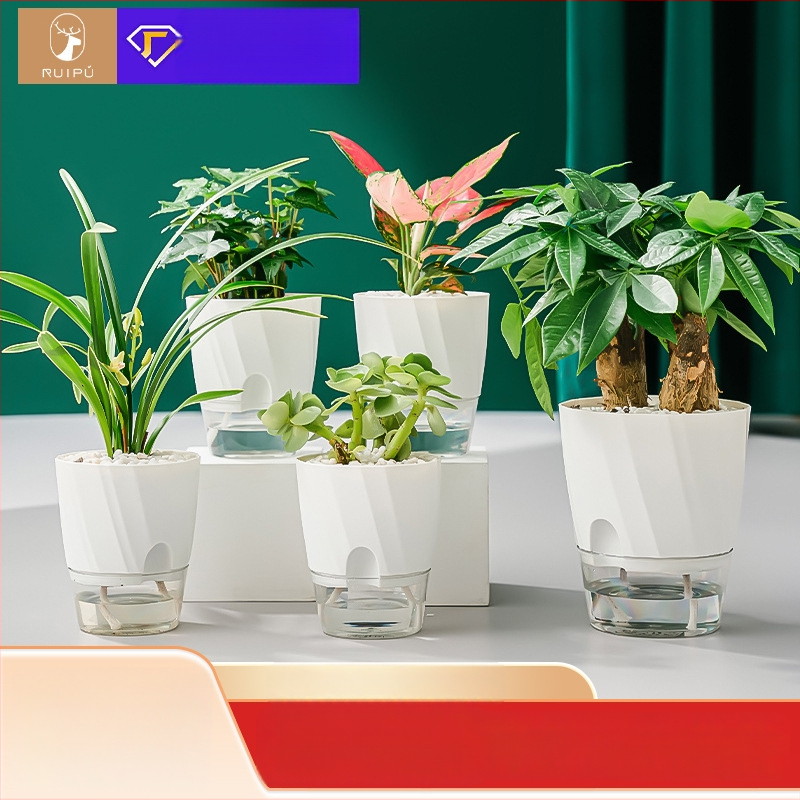 Gėlių vazonas su automatinio laistymo sistema, skaidra plastiko medžiaga, atsparus korozijai ir patvarus; tinkamas staliniam ar grindų naudojimui, šiaurietiškas minimalistinis dizainas, gaminamas liejant į vieną dalį.