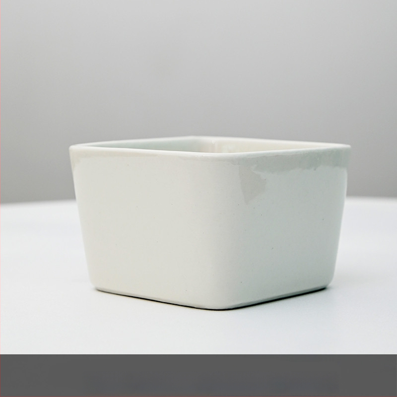 Keraamiline lillepott logotüübi trükiga; lihtne portselani disain; sobib laua- või põrandakasutuseks; poolmanuaalne tootmisprotsess.