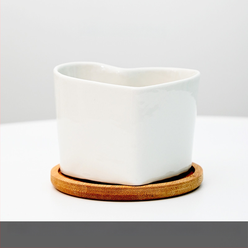 Keraamiline lillepott logotüübi trükiga; lihtne portselani disain; sobib laua- või põrandakasutuseks; poolmanuaalne tootmisprotsess.