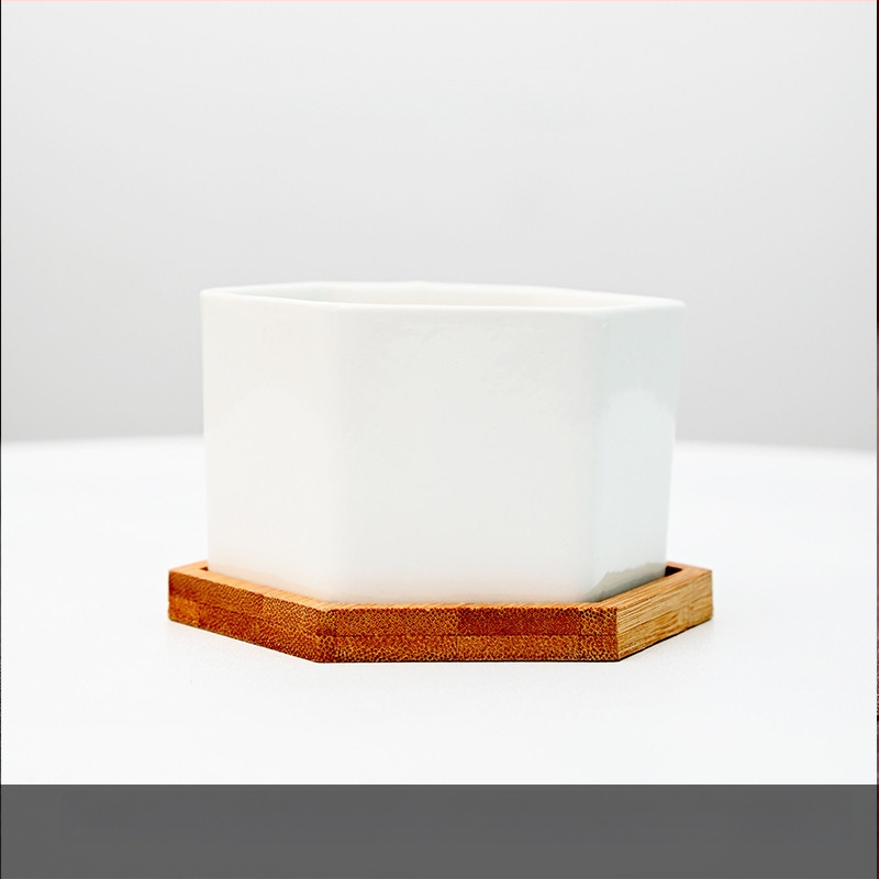 Keraamiline lillepott logotüübi trükiga; lihtne portselani disain; sobib laua- või põrandakasutuseks; poolmanuaalne tootmisprotsess.