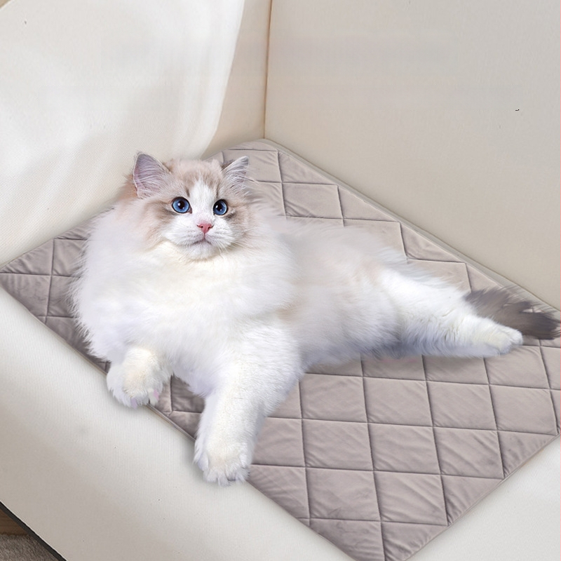 Naminio gyvūnėlių kilimėlis, siuvinėtas britiško stiliaus, neslystantis, drėgmei atsparus, šuns miego kilimėlis, visoms sezonoms