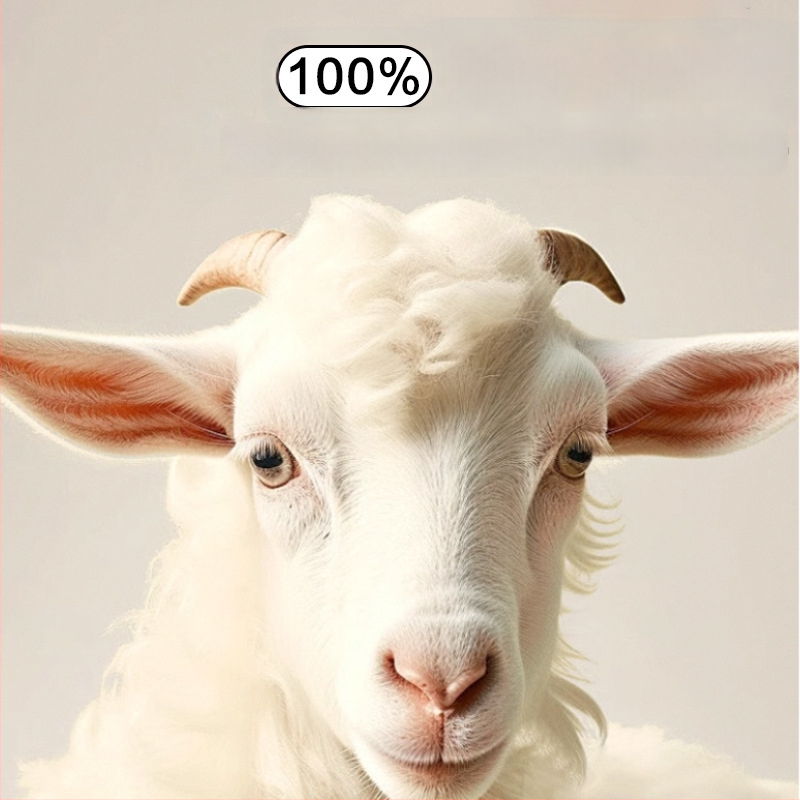 Meeste ekstra-paksud fleecevoodriga termo püksid, kõrge vöökoht, kolmekihiline kationiline polüester, veluurvooder, hoiavad sooja talvel