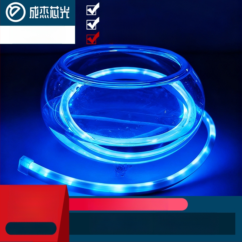 Neon LED juostelė 2835, 120 LED/m, IP65 atspari vandeniui, 8W, įėjimas 12-24-110-220V