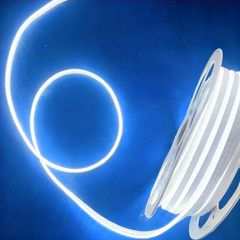 Neon LED juostelė 2835, 120 LED/m, IP65 atspari vandeniui, 8W, įėjimas 12-24-110-220V