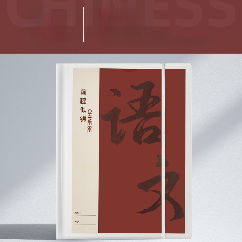 Plastikinė testinių lapų organizavimo byla su skaidriais įdėklais, modelis Hc-652, 20 pusl., storis 60, pritaikymas galimas