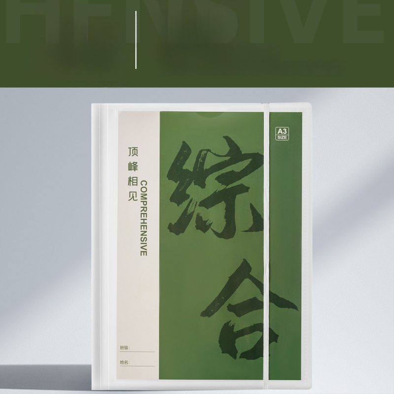 Plastikinė testinių lapų organizavimo byla su skaidriais įdėklais, modelis Hc-652, 20 pusl., storis 60, pritaikymas galimas