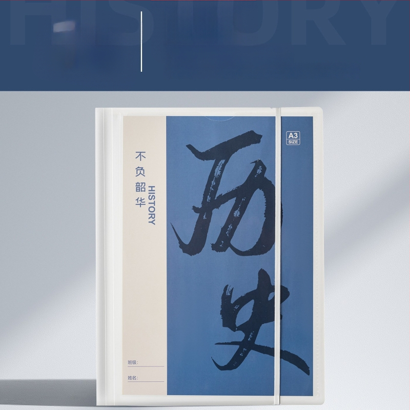 Plastikinė testinių lapų organizavimo byla su skaidriais įdėklais, modelis Hc-652, 20 pusl., storis 60, pritaikymas galimas