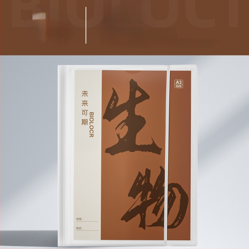 Plastikinė testinių lapų organizavimo byla su skaidriais įdėklais, modelis Hc-652, 20 pusl., storis 60, pritaikymas galimas