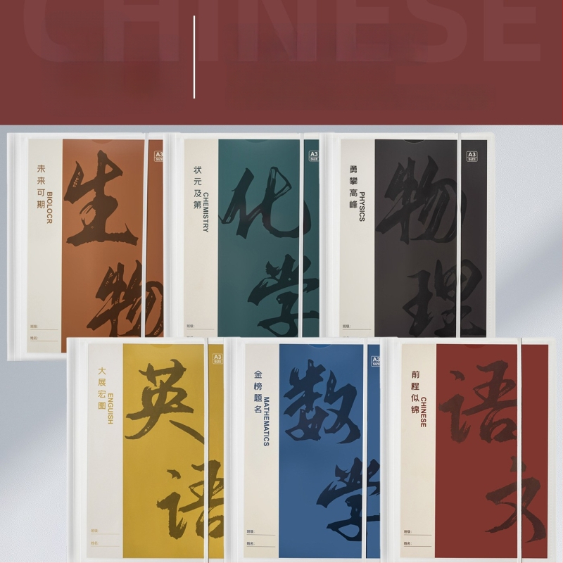 Plastikinė testinių lapų organizavimo byla su skaidriais įdėklais, modelis Hc-652, 20 pusl., storis 60, pritaikymas galimas