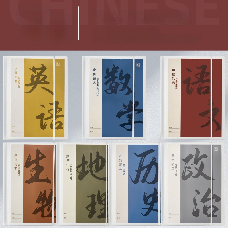 Plastikinė testinių lapų organizavimo byla su skaidriais įdėklais, modelis Hc-652, 20 pusl., storis 60, pritaikymas galimas