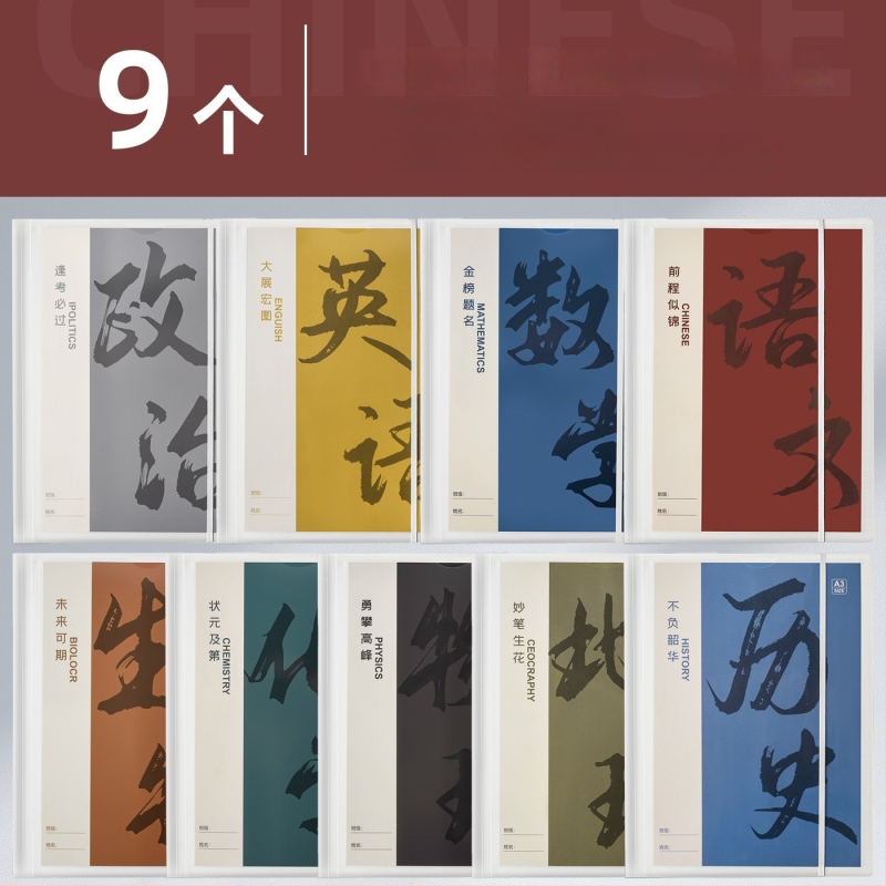 Plastikinė testinių lapų organizavimo byla su skaidriais įdėklais, modelis Hc-652, 20 pusl., storis 60, pritaikymas galimas